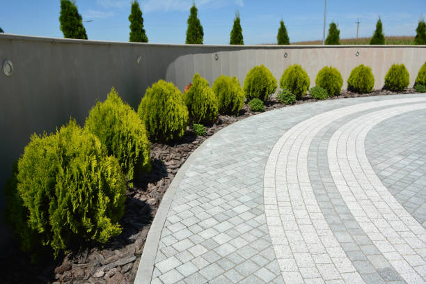 Best Permeable Paver Driveway  in Clermont, IN